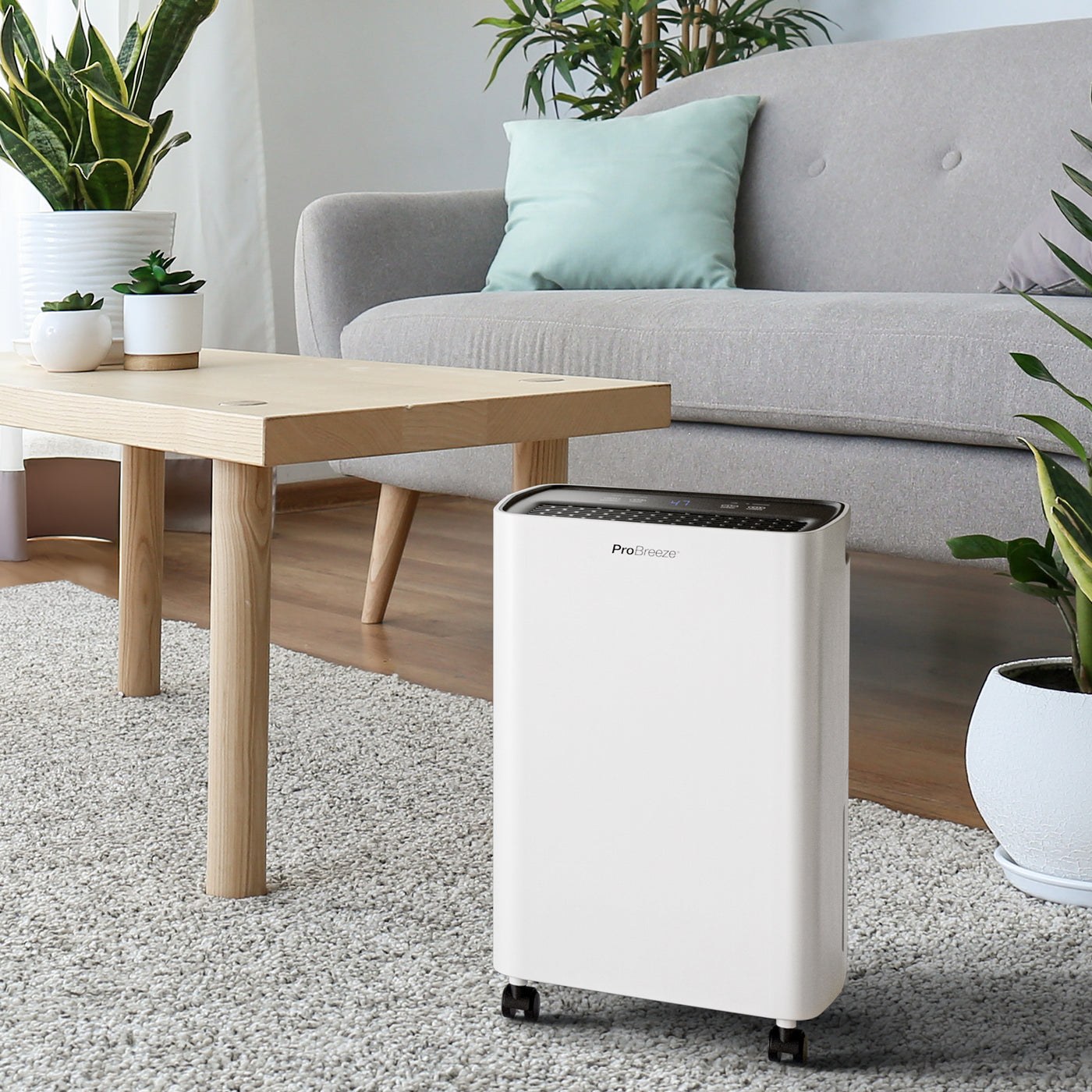 Deshumidificador Pro Breeze 12 L PB-D-27 — Fotografía del fabricante 3
