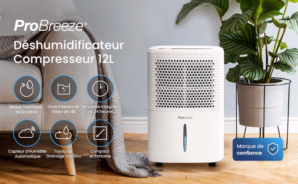 Infographie - Élimine humidité, condensation et moisissure efficacement