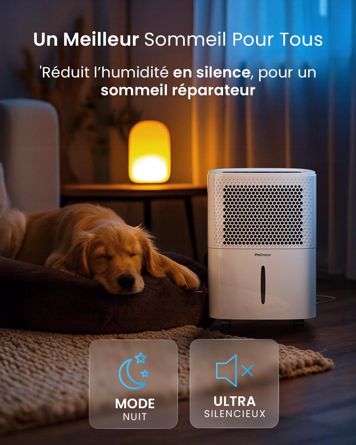Compatible Amazon Alexa et Google Home pour commandes vocales