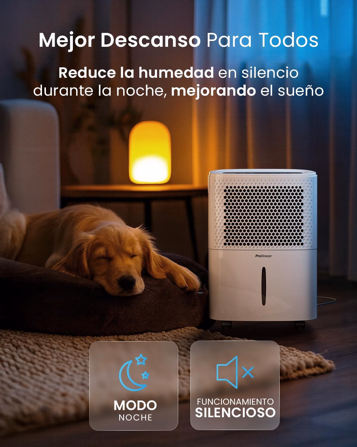 Compatible Amazon Alexa y Google Home para comandos de voz